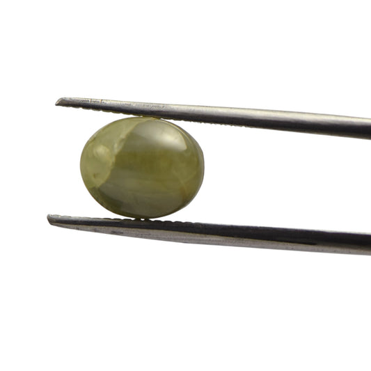 Natural Cat's Eye - 5.5 Carat