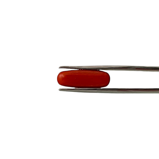 Natural Coral (Italian) - 6.5 Carat