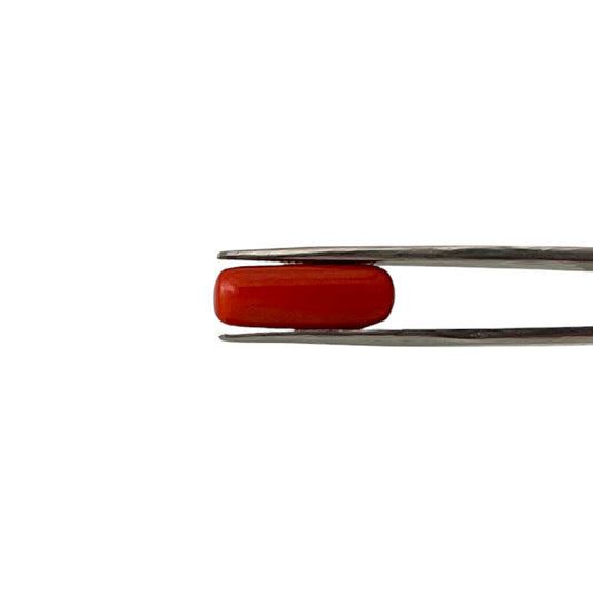 Natural Coral (Italian) - 7.2 Carat