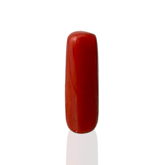 Natural Coral (Italian) - 7.3 Carat