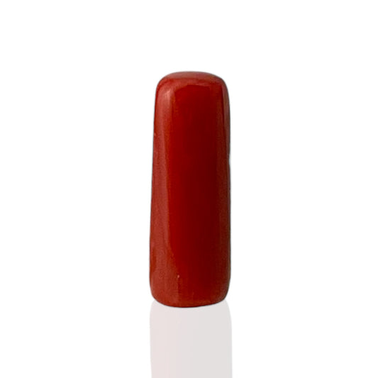 Natural Coral (Italian) - 7.8 Carat