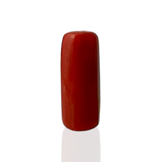 Natural Coral (Italian) - 7.6 Carat