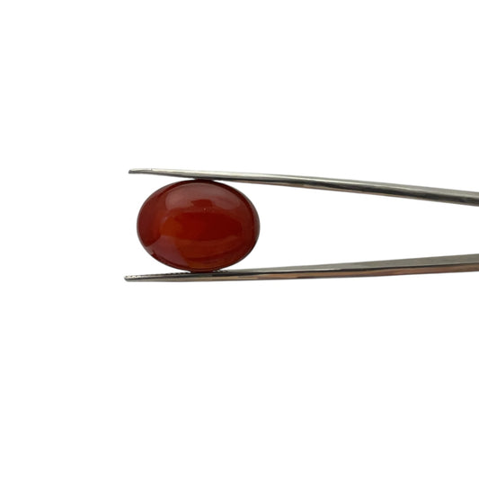 Carnelian Oval Cabachon - 18.2 Carat