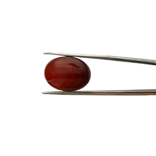 Carnelian Oval Cabachon - 18.4 Carat
