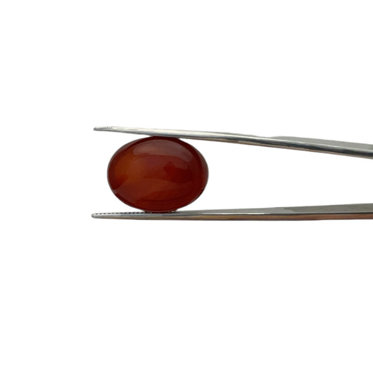 Carnelian Oval Cabachon - 19 Carat