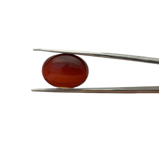 Carnelian Oval Cabachon - 17.3 Carat