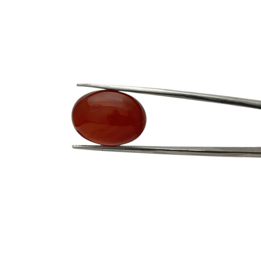 Carnelian Oval Cabachon - 16.8 Carat