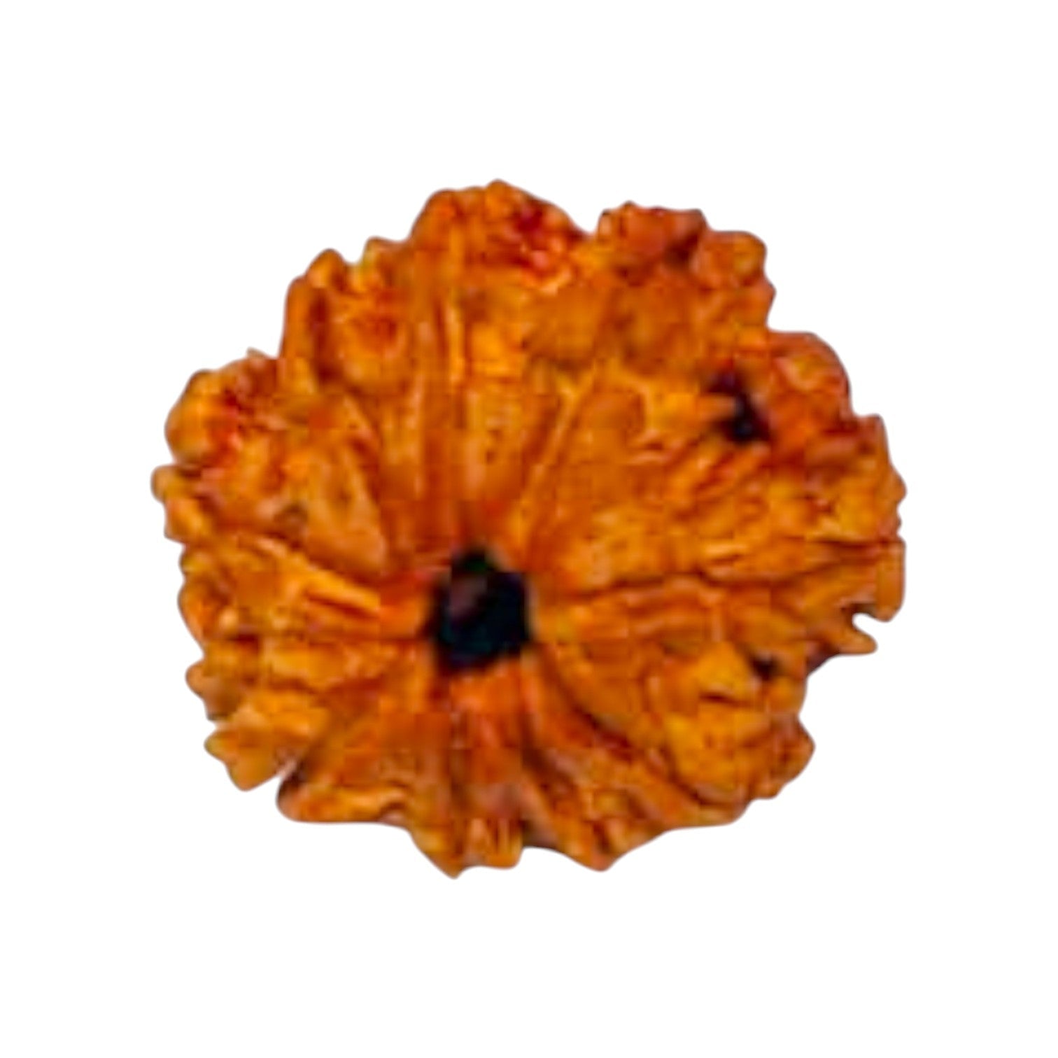 1950840