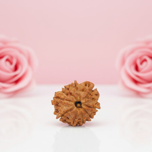 Natural 9 Mukhi Rudraksha Beads