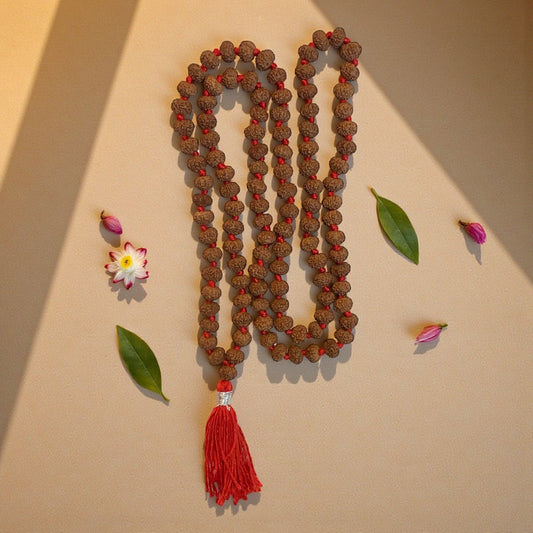 7 Mukhi Rudraksha Mala (108+1)