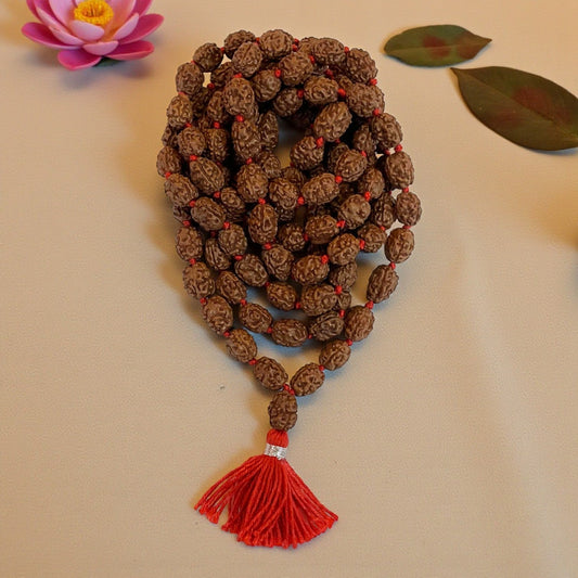 3 Mukhi Rudraksha Mala (108+1)