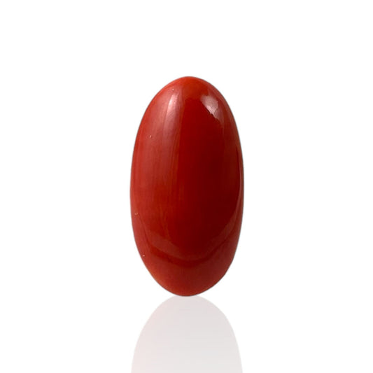Red Coral (Japanese) - 5.1 Carat