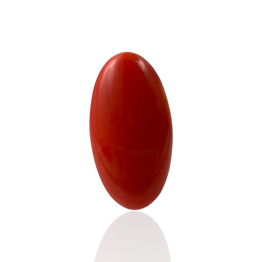 Red Coral (Japanese) - 7.4 Carat