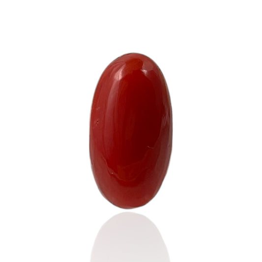 Red Coral (Japanese) - 3.7 Carat