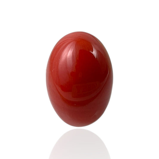 Red Coral (Japanese) - 4.6 Carat