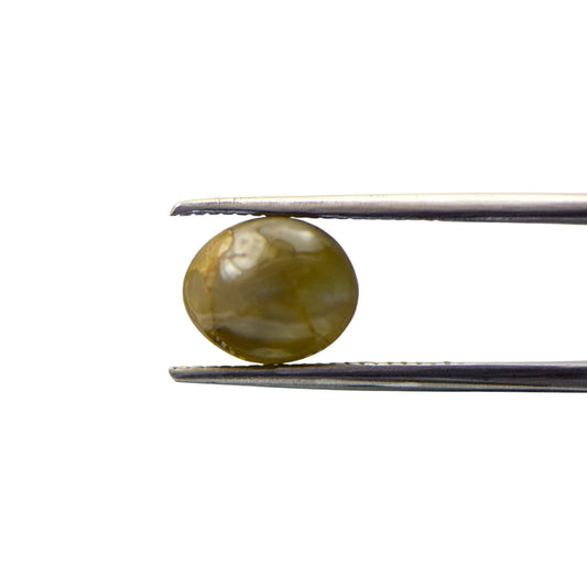 Natural Cats Eye Chrysoberyl - 5.82 Carat