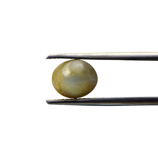 Natural Cats Eye Chrysoberyl - 3.26 Carat