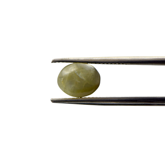Natural Cats Eye Chrysoberyl - 3.11 Carat