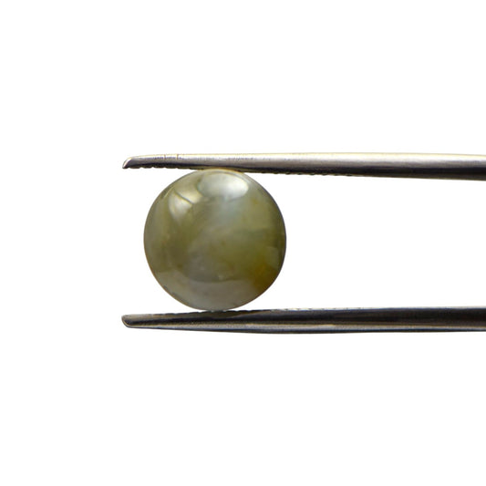 Natural Cats Eye Chrysoberyl - 6.6 Carat