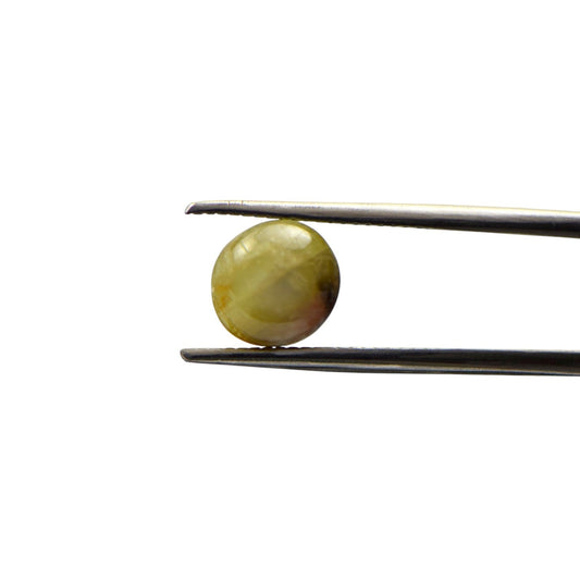 Natural Cats Eye Chrysoberyl - 3.88 Carat