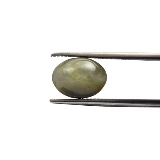 Natural Cats Eye Chrysoberyl - 7.5 Carat