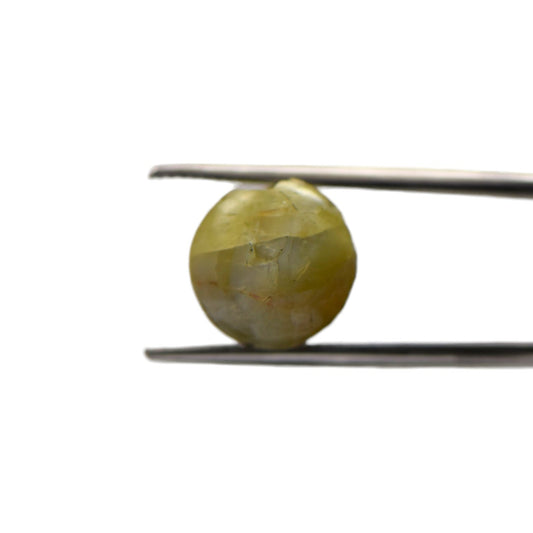 Natural Cats Eye Chrysoberyl - 8.53 Carat