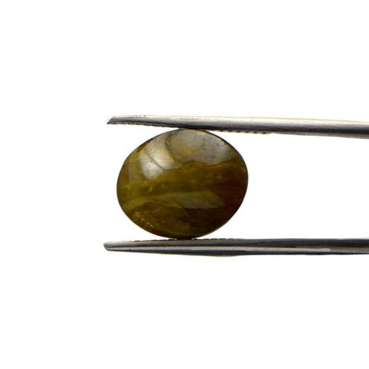 Natural Green Cats Eye Chrysoberyl - 9.11 Carat