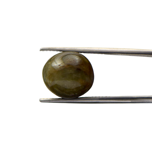 Natural Green Cats Eye Chrysoberyl - 12.14 Carat