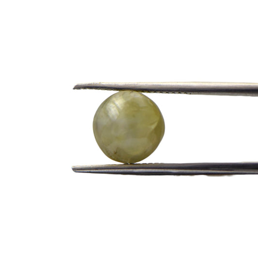 Natural Cats Eye Chrysoberyl - 5.65 Carat