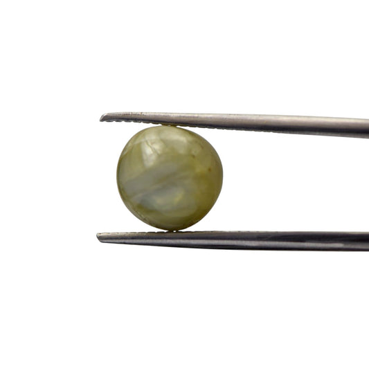 Natural Cats Eye Chrysoberyl - 6.31 Carat