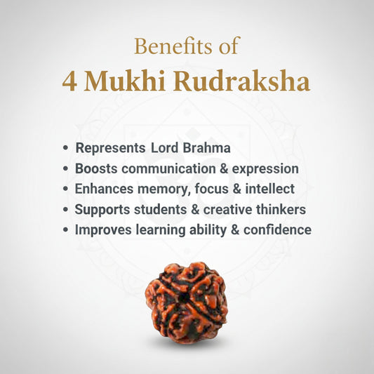 4 Mukhi Rudraksha  Gold Plated Pendant  AAA Premium Quality