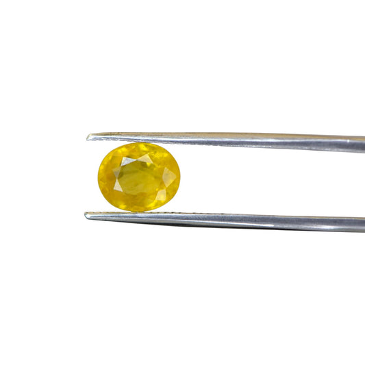 Natural Yellow Sapphire - 3.1 Carat