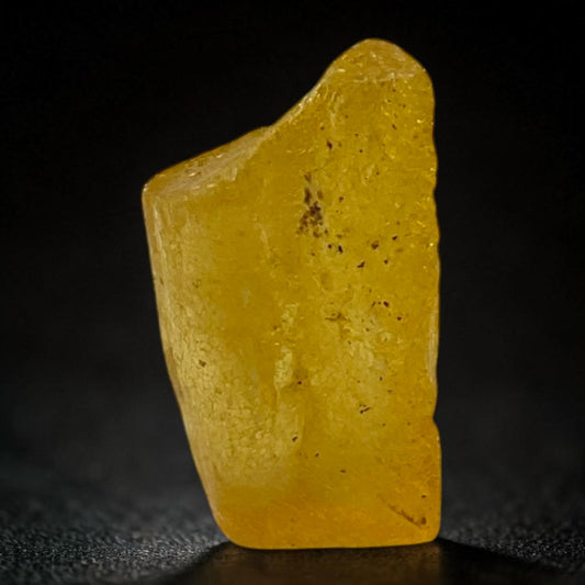 Natural Amber - 8 Carat