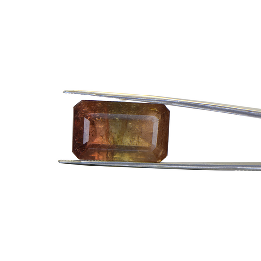 Natural Watermelon Tourmaline - 31.1 Carat