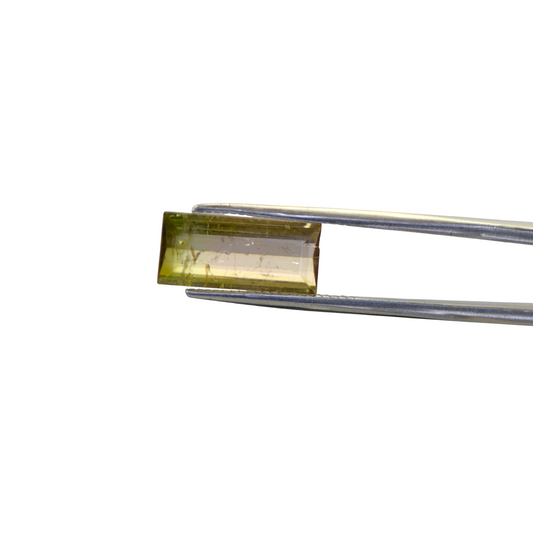 Natural Watermelon Tourmaline - 3.9 Carat