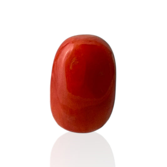 Red Coral (Italian) - 10.72 Carat
