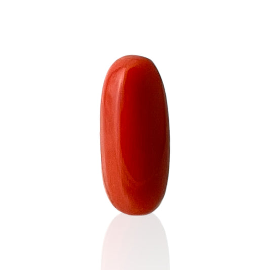 Red Coral (Italian) - 7.95 Carat