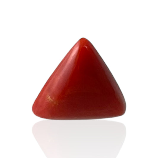 Red Coral (Italian) - 5.49 Carat