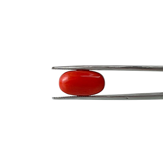 Red Coral (Italian) - 9.23 Carat