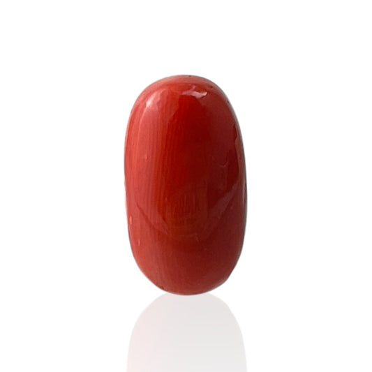 Red Coral (Italian) - 9.23 Carat