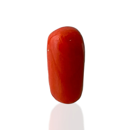 Red Coral (Italian) - 8.79 Carat