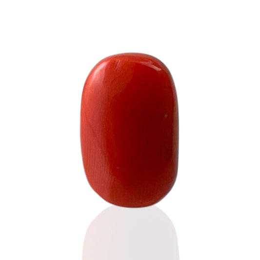 Red Coral (Italian) - 6.25 Carat