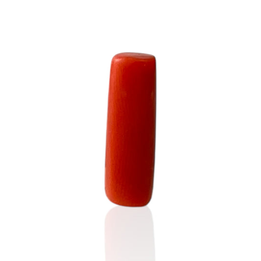 Red Coral (Italian) - 5.31 Carat