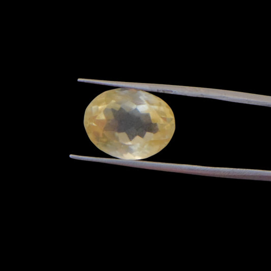 Citrine - 8.69 Carat