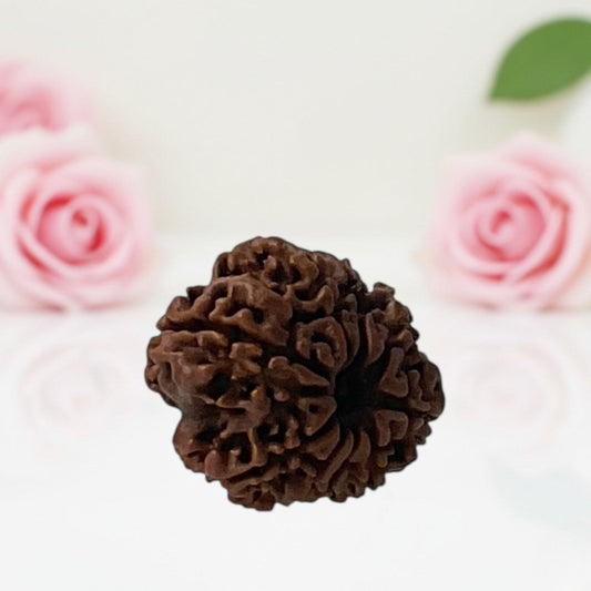 Natural 9 Mukhi Nepali Rudraksha Beads