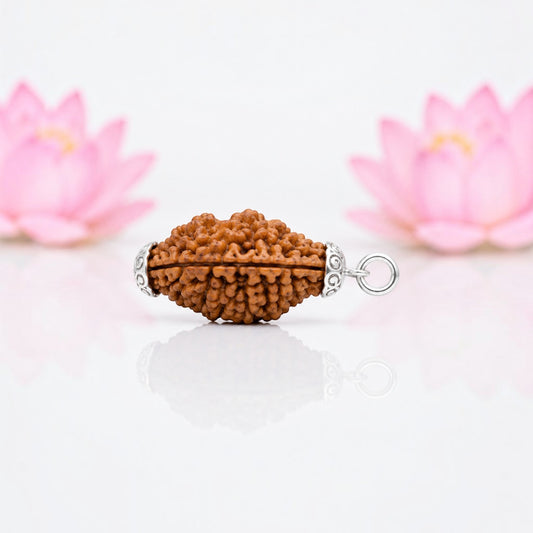  Natural 2 Mukhi Rudraksha Silver Plated Pendant