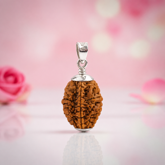  Natural 2 Mukhi Rudraksha Pendant-Silver (92.5)