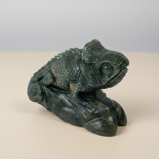 Labrodorite CHAMELEON