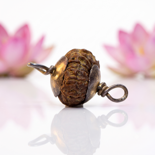 Natural 13 Mukhi Rudraksha Gold Plated Pendant
