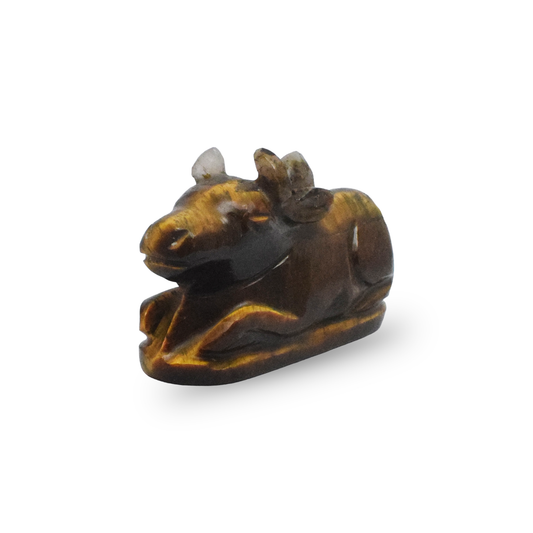 Tiger Eye Nandi - ( 101 Gram )